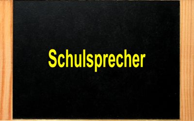 Das Schulsprecherteam 2020-2021 stellt sich vor